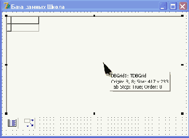       DBGrid